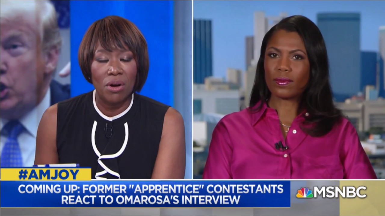 #Omarosa SLAYS In #JoyReid MSNBC Interview (26 Aug. 2018) 😍