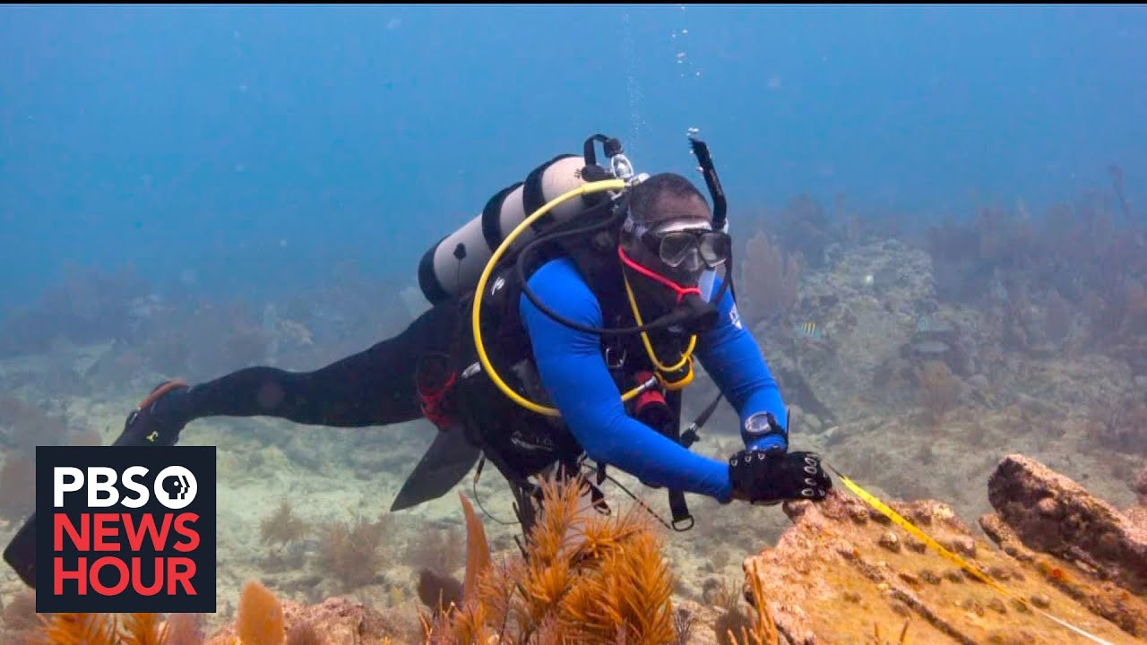 Black scuba divers explore the wreckage of slave ships and the ‘untold American story’